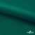 Ткань подкладочная Таффета, 19-5420, 53 г/м2, антистатик, шир. 150 см, вечнозеленый - купить в Оренбурге. Цена 57.16 руб.