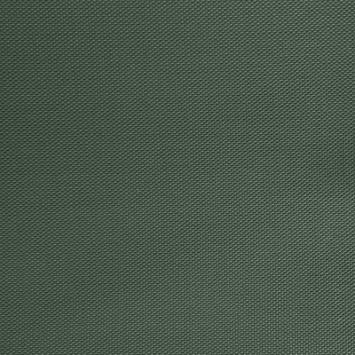 Оксфорд (Oxford) 240D 19-5917, PU/WR, 115 гр/м2, шир.150см, цвет т.зелёный - купить в Оренбурге. Цена 154.09 руб.