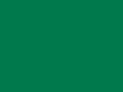 70 см № 258 св. зеленый молнии спираль - купить в Оренбурге. Цена: 14.58 руб.
