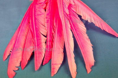 Декоративный Пучок из перьев, перо 25см/розовый - купить в Оренбурге. Цена: 14.40 руб.