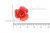 Украшение "Розы малые №1" 20мм - купить в Оренбурге. Цена: 32.49 руб.