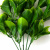 Трава искусственная -1, шт (эвкалипт лист 32 см/8 см)				 - купить в Оренбурге. Цена: 169.93 руб.