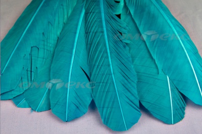 Декоративный Пучок из перьев, перо 24см/голубой - купить в Оренбурге. Цена: 12.19 руб.