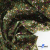 Ткань костюмная «Микровельвет велюровый принт», 220 г/м2, 97% полиэстр, 3% спандекс, ш. 150См Цв  #9 - купить в Оренбурге. Цена 439.76 руб.