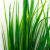 Трава искусственная -2, шт (осока 41см/8 см)				 - купить в Оренбурге. Цена: 104.57 руб.