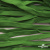 Шнур плетеный (плоский) d-12 мм, (уп.90+/-1м), 100% полиэстер, цв.260 - зел.трава - купить в Оренбурге. Цена: 8.62 руб.
