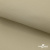 Ткань подкладочная TWILL 230T 14-1108, беж светлый 100% полиэстер,66 г/м2, шир.150 cм - купить в Оренбурге. Цена 90.59 руб.