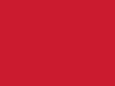 Сетка подкладочная красный, 60г/м2 (10 м/кг) - купить в Оренбурге. Цена 885.73 руб.