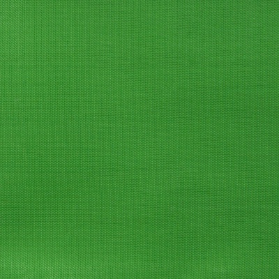 Ткань подкладочная Таффета 17-6153, 48 гр/м2, шир.150см, цвет трава - купить в Оренбурге. Цена 54.64 руб.