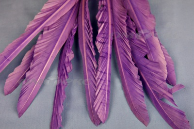 Декоративный Пучок из перьев, перо 25см/фиолетовый - купить в Оренбурге. Цена: 12.19 руб.