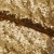 Сетка с пайетками №3, 188 гр/м2, шир.140см, цвет золотой - купить в Оренбурге. Цена 454.12 руб.