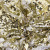 Трикотажное полотно, Сетка с пайетками, шир.130 см, #315, цв.-белый/золото - купить в Оренбурге. Цена 693.39 руб.