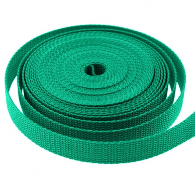 Стропа текстильная, шир. 25 мм (в нам. 50+/-1 ярд), цвет яр.зелёный - купить в Оренбурге. Цена: 397.52 руб.
