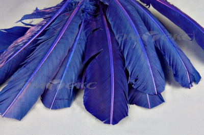 Декоративный Пучок из перьев, перо 23см/синий - купить в Оренбурге. Цена: 12.34 руб.