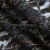 Кружевное полотно XD LACE 1-4, 80 гр/м2, шир.150см, цвет чёрный - купить в Оренбурге. Цена 245.94 руб.