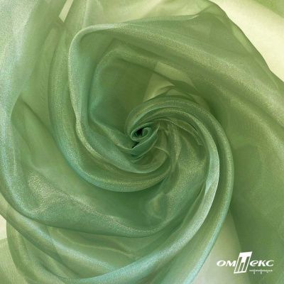 Ткань органза, 100% полиэстр, 28г/м2, шир. 150 см, цв. #27 зеленый - купить в Оренбурге. Цена 86.24 руб.